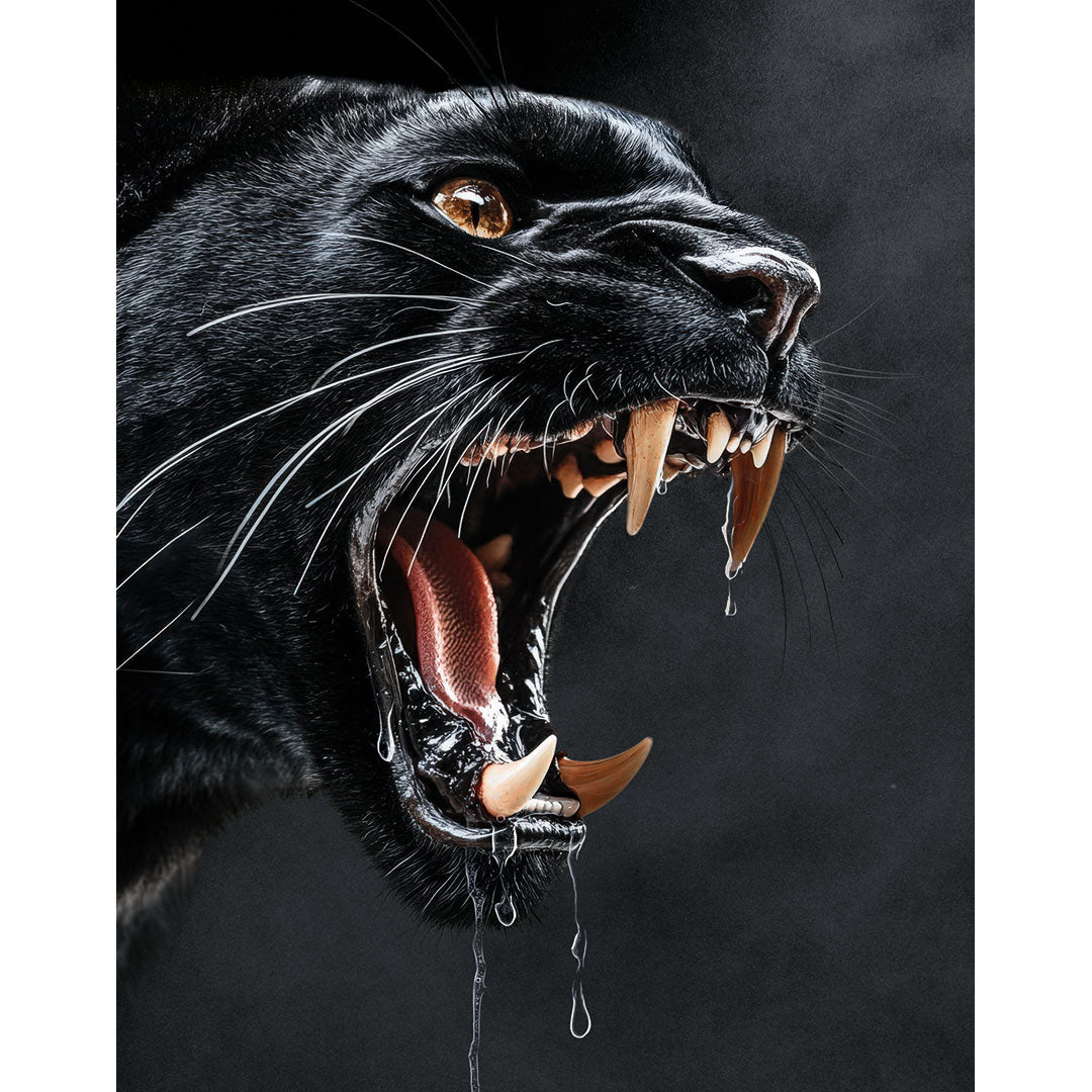 Sunderland v Coventry City (Play-off)