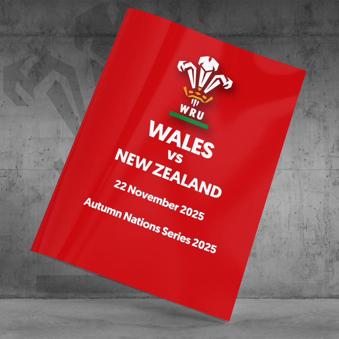 Wales vs New Zealand (2025)