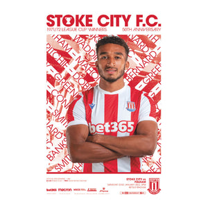 Stoke City vs Fulham