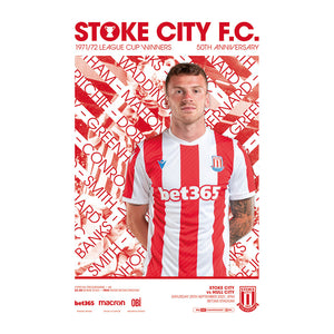 Stoke City vs Hull City