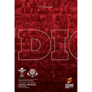 Wales vs Georgia (Autumn Nations Cup)