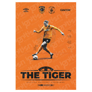 Hull City vs Luton Town